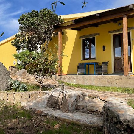 Agriturismo Campesi Casale Tra Le Vigne Альенту Экстерьер фото