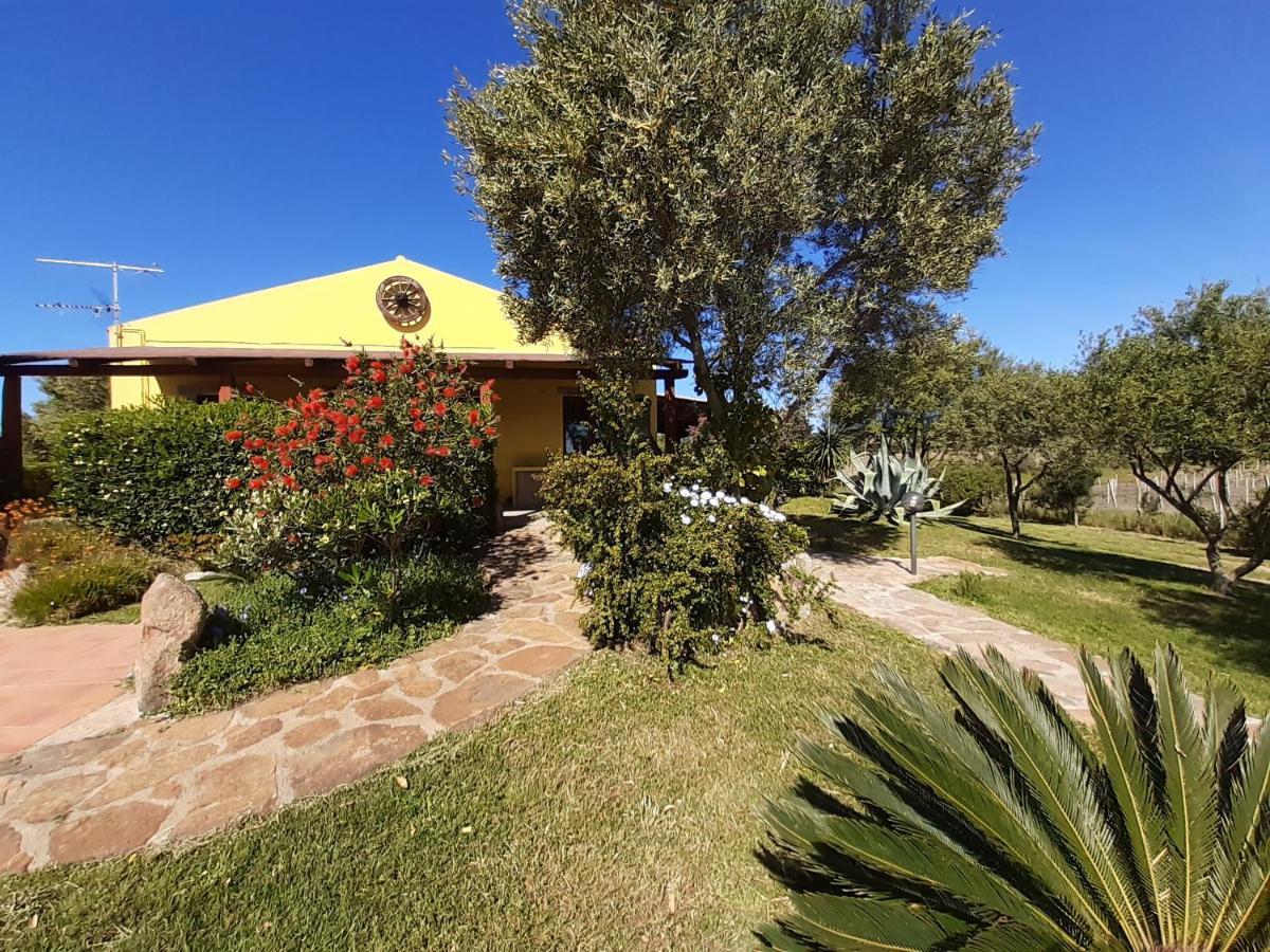 Agriturismo Campesi Casale Tra Le Vigne Альенту Экстерьер фото