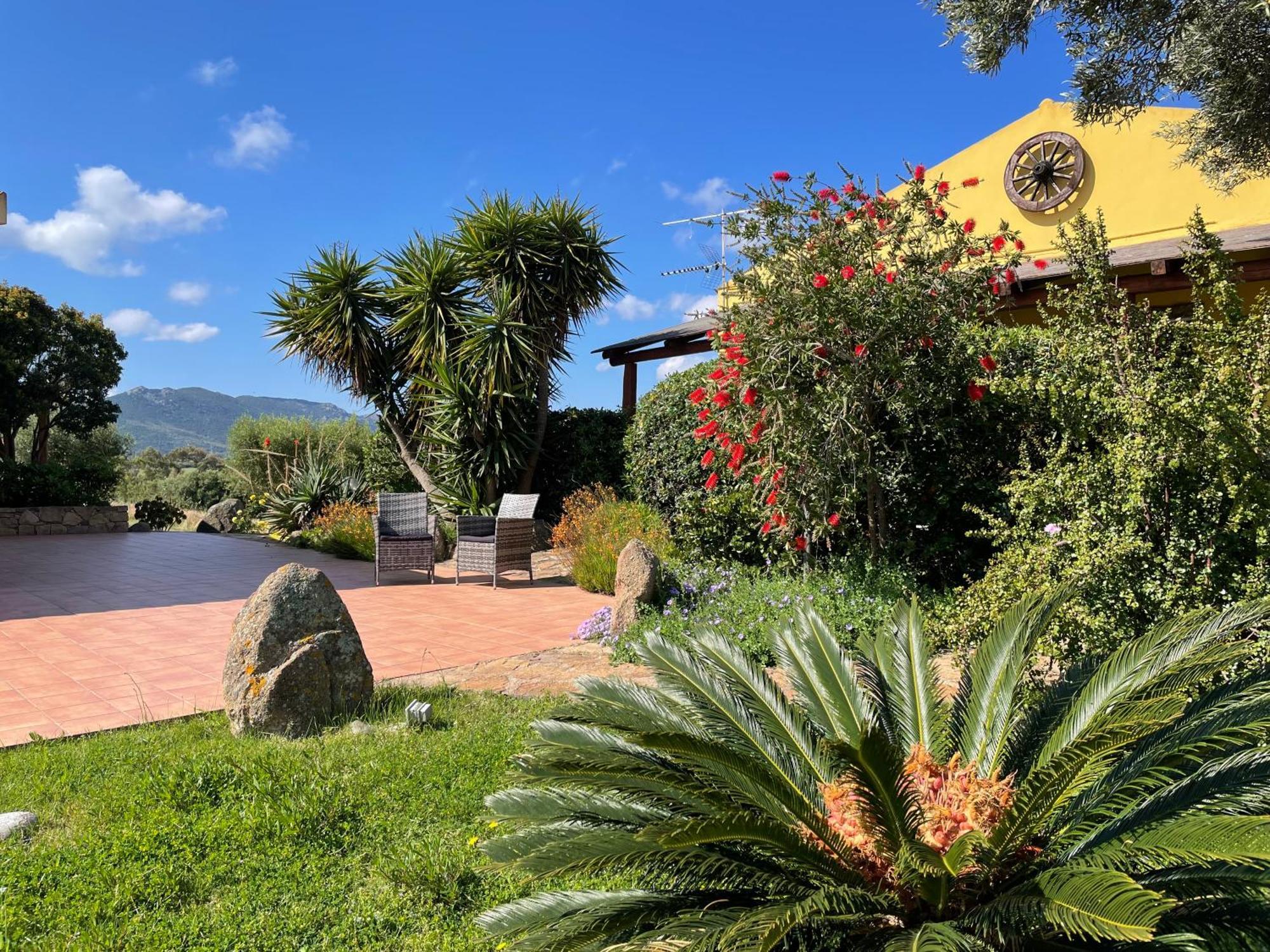 Agriturismo Campesi Casale Tra Le Vigne Альенту Экстерьер фото