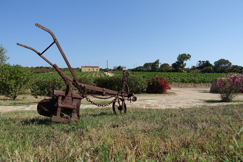 Agriturismo Campesi Casale Tra Le Vigne Альенту Экстерьер фото