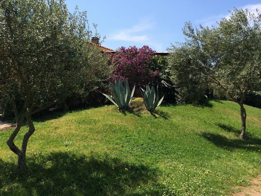 Agriturismo Campesi Casale Tra Le Vigne Альенту Экстерьер фото