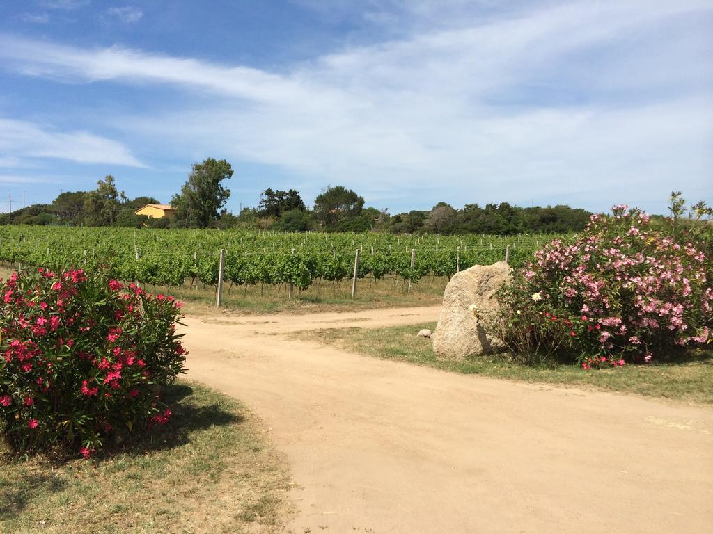 Agriturismo Campesi Casale Tra Le Vigne Альенту Экстерьер фото