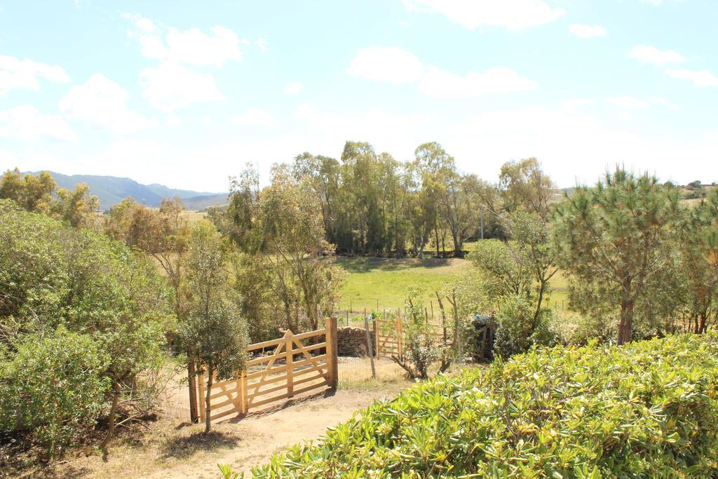 Agriturismo Campesi Casale Tra Le Vigne Альенту Экстерьер фото