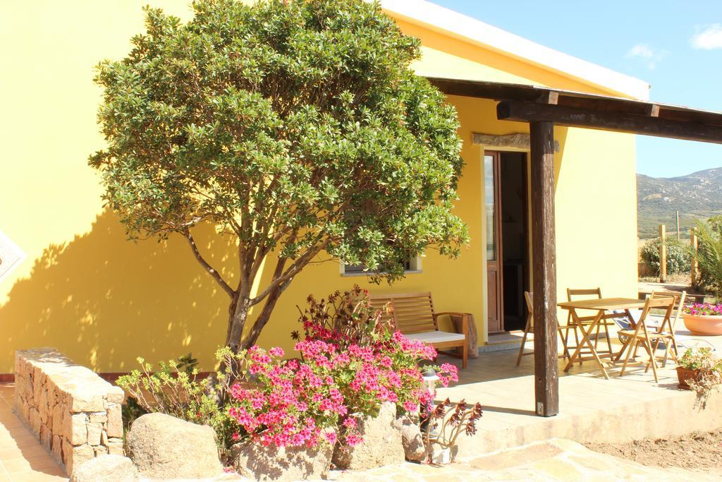 Agriturismo Campesi Casale Tra Le Vigne Альенту Экстерьер фото