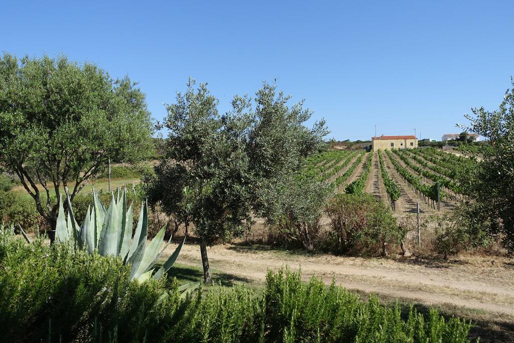 Agriturismo Campesi Casale Tra Le Vigne Альенту Экстерьер фото