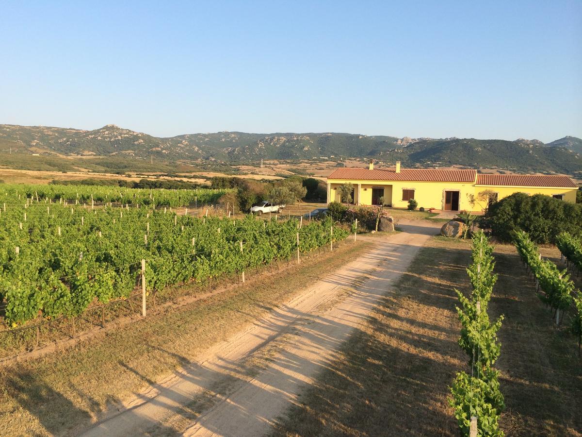 Agriturismo Campesi Casale Tra Le Vigne Альенту Экстерьер фото