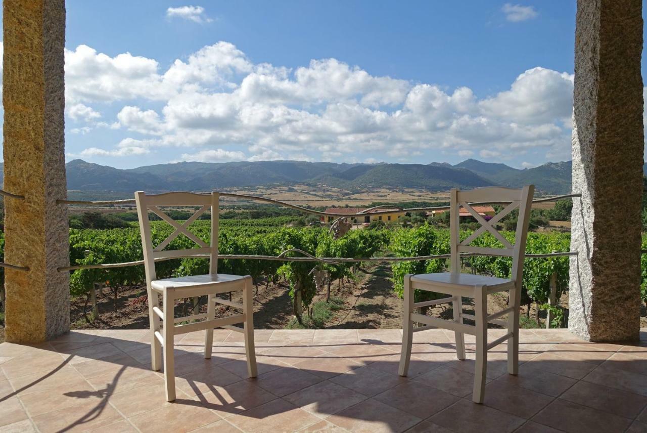 Agriturismo Campesi Casale Tra Le Vigne Альенту Экстерьер фото