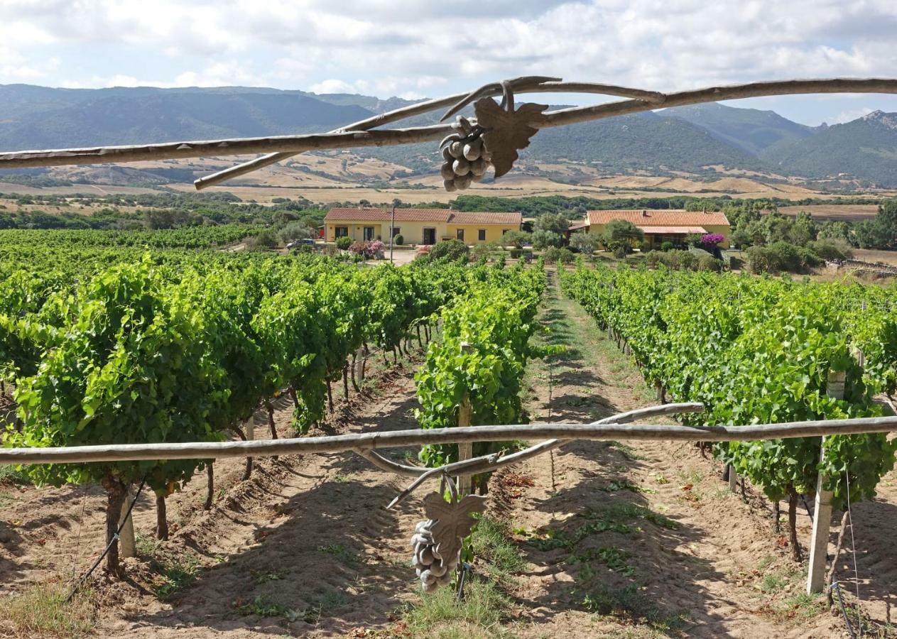Agriturismo Campesi Casale Tra Le Vigne Альенту Экстерьер фото