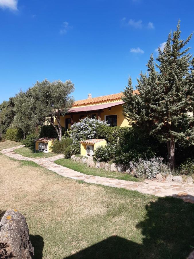 Agriturismo Campesi Casale Tra Le Vigne Альенту Экстерьер фото