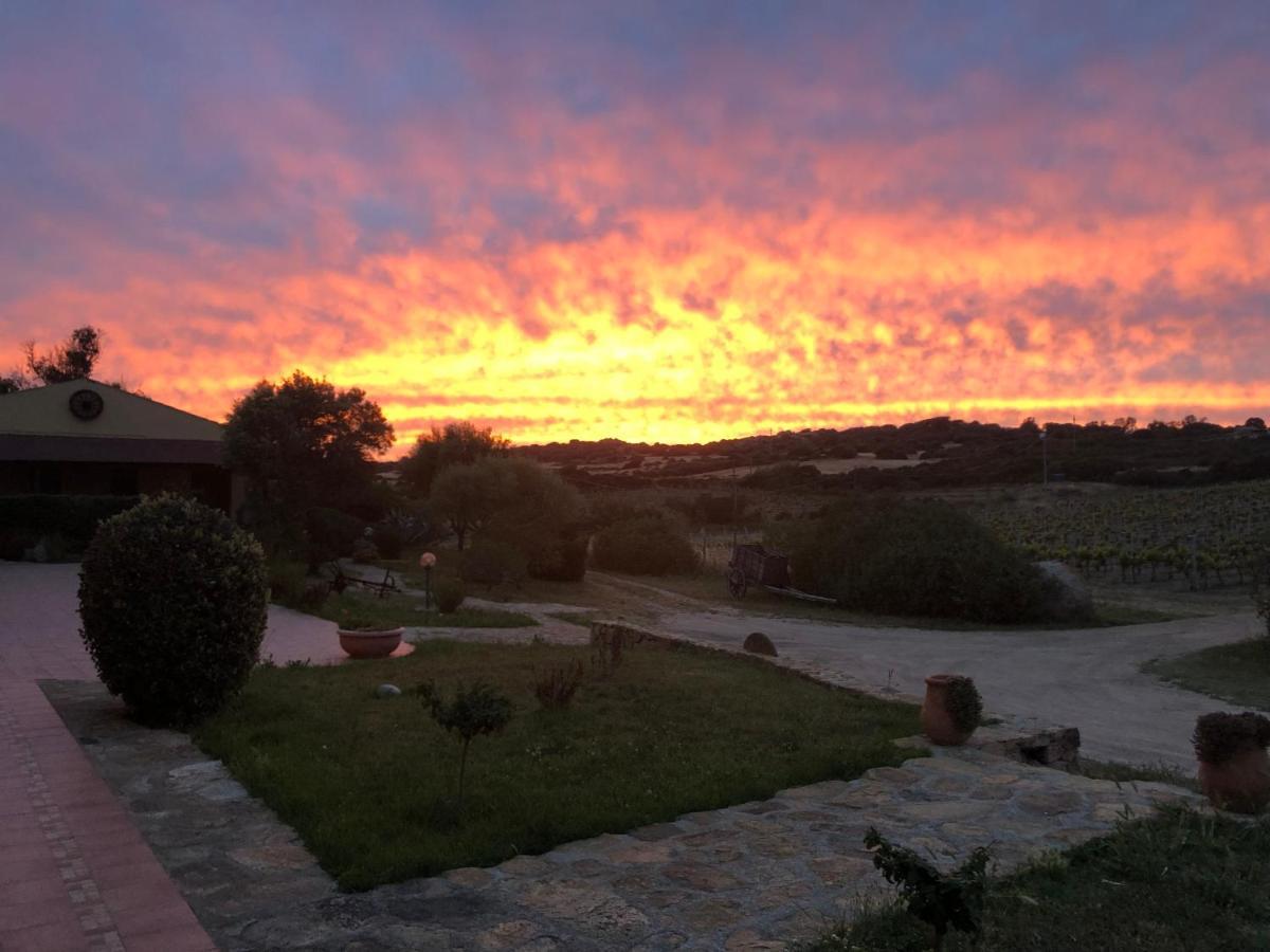Agriturismo Campesi Casale Tra Le Vigne Альенту Экстерьер фото
